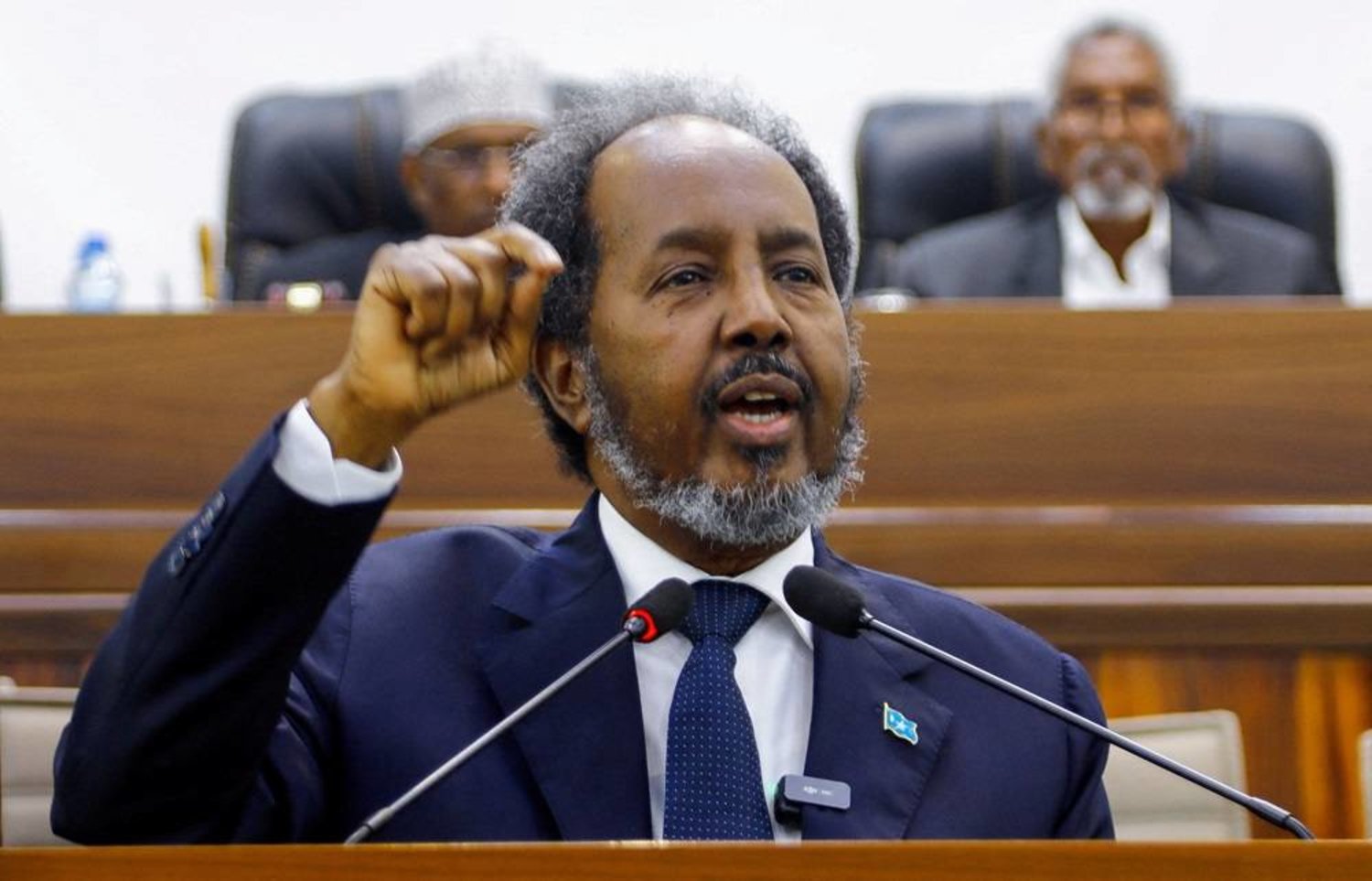 Somali President Signs Law Nullifying Illegal Ethiopia-Somaliland Deal –  Voice of Nigeria