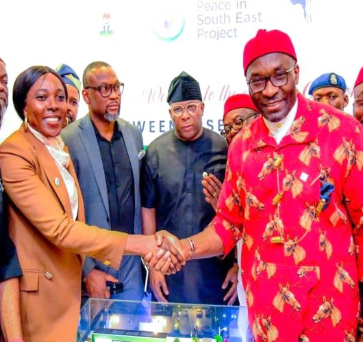 NIGCOMSAT, PISE-P unveil Enterprise Digital Hub in South East – Voice ...