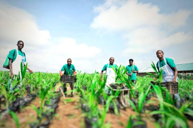 Agro Tech, Microfinance To Empower 125,000 Youths In Northern Nigeria