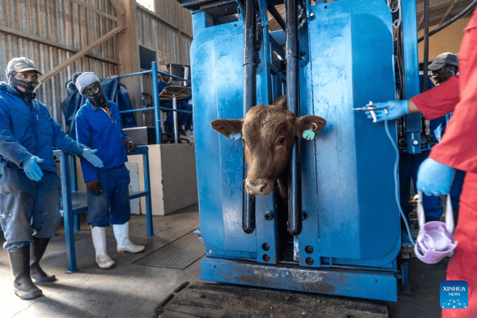 4b9876deca57408ea1213647d6bb5935