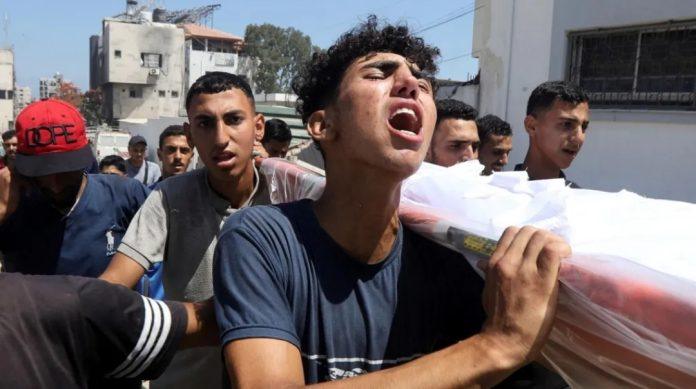 Screenshot_20250626_124417_Gallery