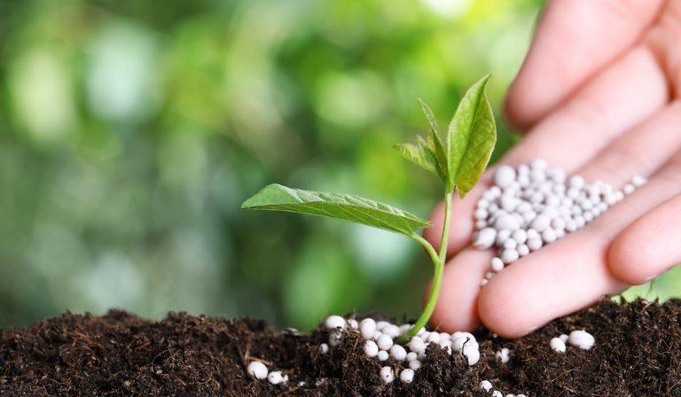 Nigeria Can Generate 4million Tonnes of Green Ammonia Annually – Centre Reveals