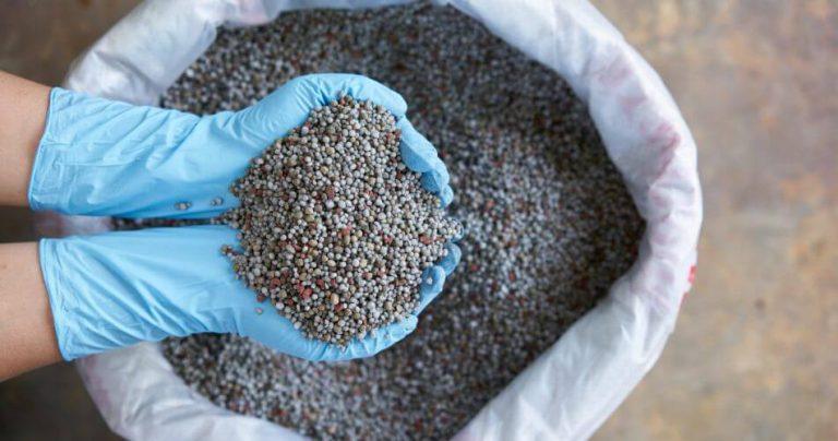 Expert Cautions Against Excessive Application of Chemical Fertilisers 