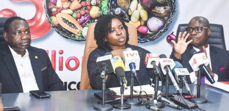 Lagos To Launch ₦500 Billion Agric Initiative