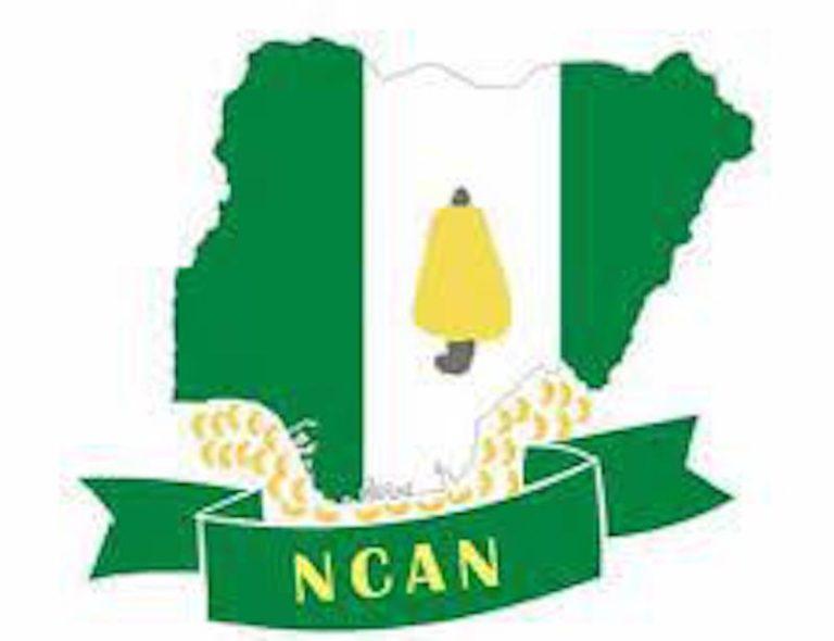 NCAN Produces 120,000 Cashew Seedlings to Boost Exports