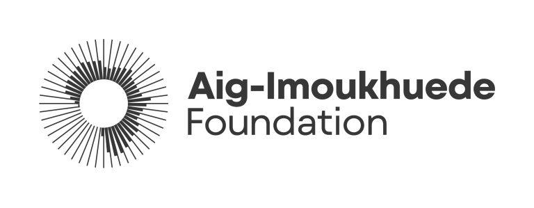 Foundation Unveils Pan-African Governance Reform