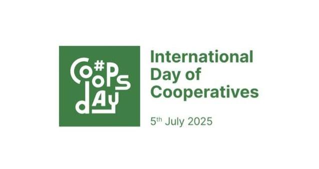 images - 2025-07-06T062028.129