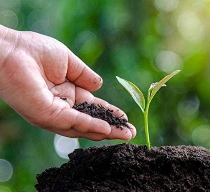 41san9tTmAL._UF1000,1000_QL80_