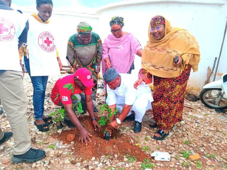 Nasarawa State Launches Tree Planting Campaign
