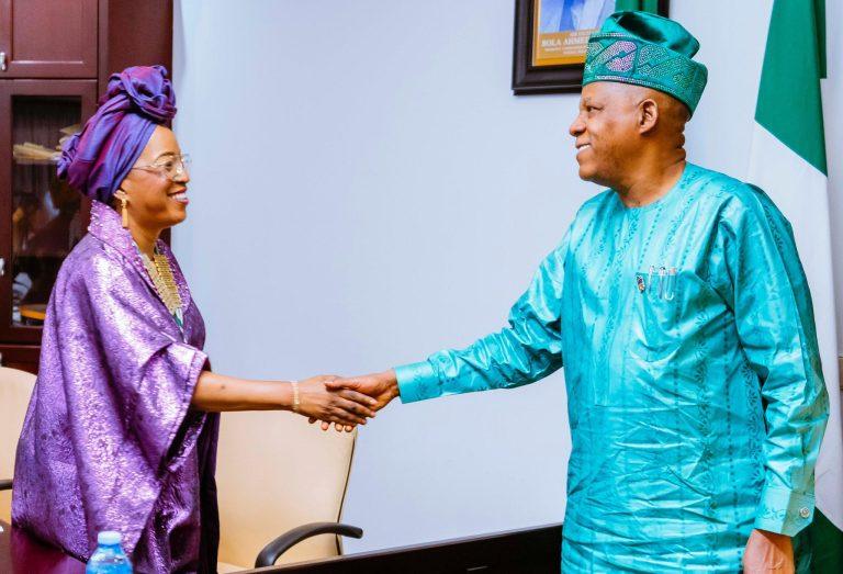 Government Considers Presidential Task Team on Architecture