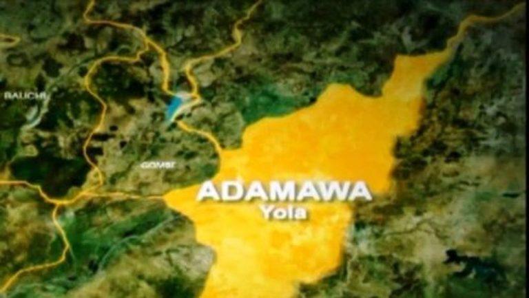 Group Promotes Girls’ Education in Adamawa Communities