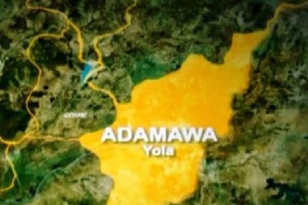 Adamawa-map
