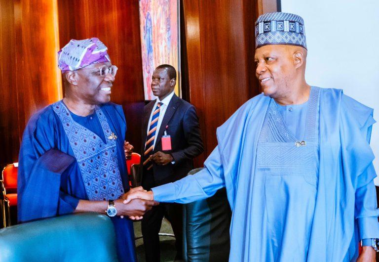 Vice President Shettima Tasks Governors On Performance