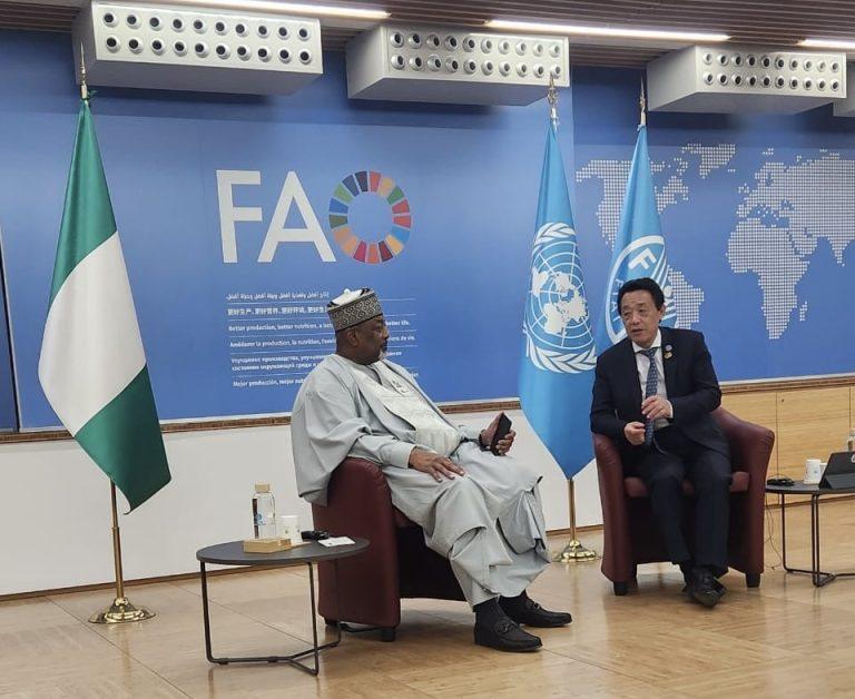 Nigeria Woos FAO To Enhance Food Security
