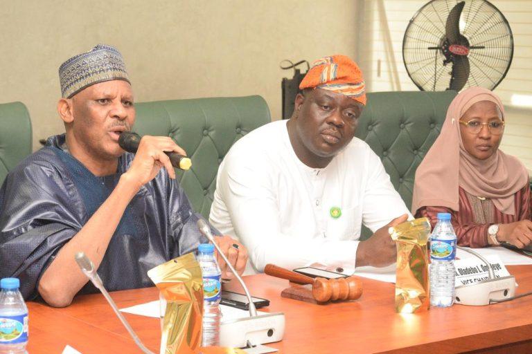 Lawmakers Vow to Recover National Assets