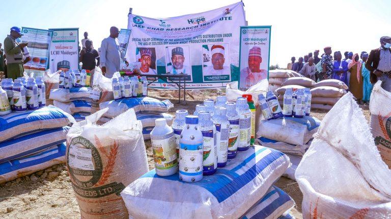 Nigeria Targets N160 Billion Wheat Production To Enhance Food Sovereignty 