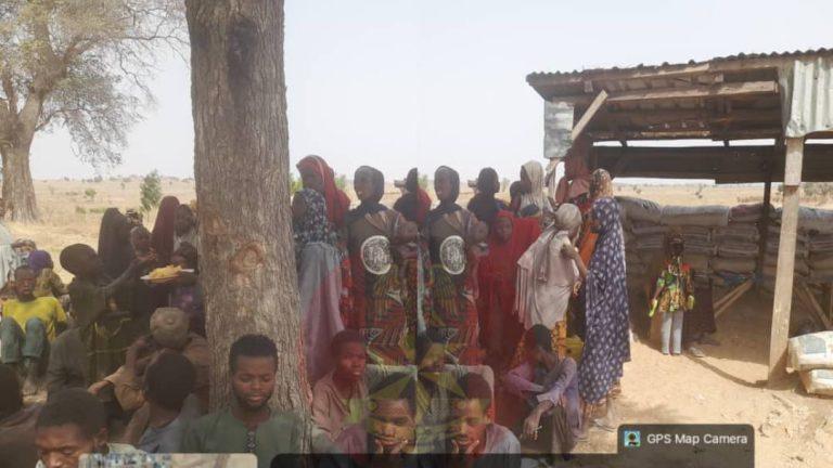 Nigerian Troops Eliminate Terrorists, Rescue 62 Hostages