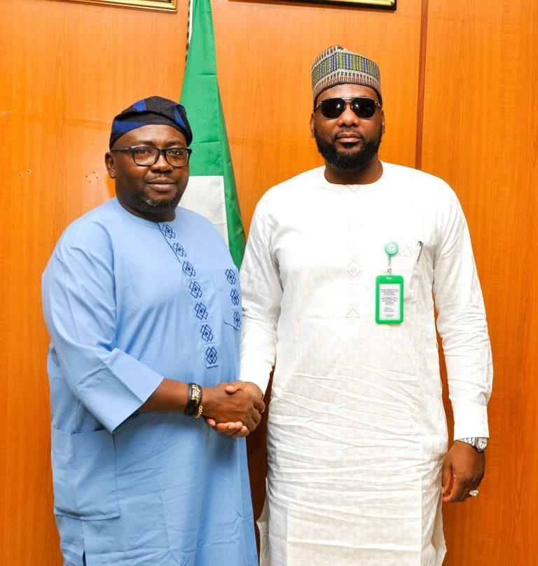 Minister Seeks Local Production of Electricity Components