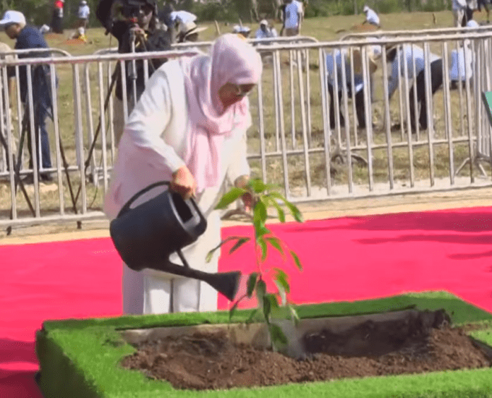 PRESIDENT SAMIHA SULUHU HASSAN PLANTING TREE CAMPAIG