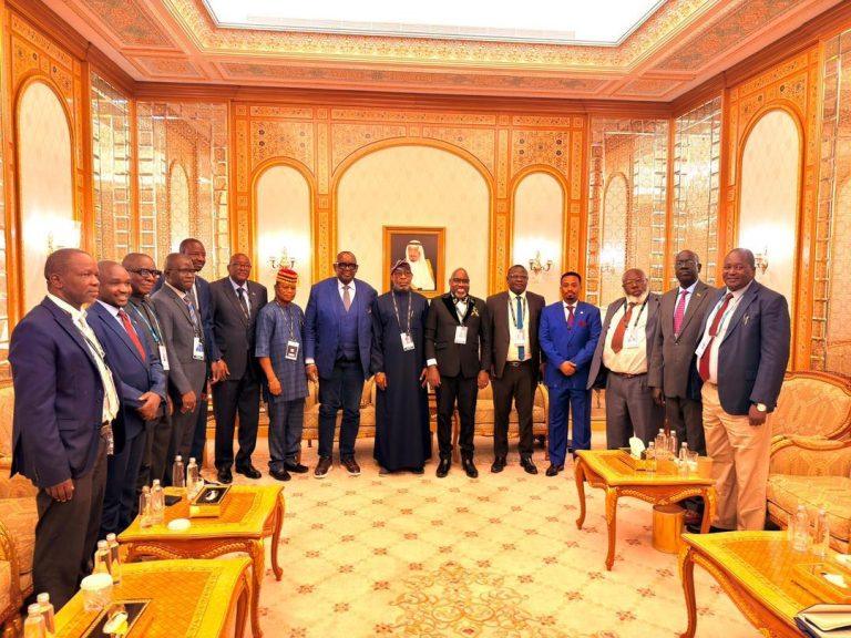 Africa Minerals Strategy Group Re-elects Alake as Chairman