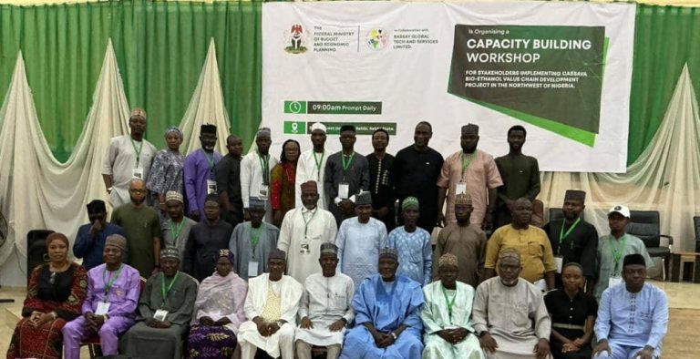 Nigeria Reaffirms Commitment to Transforming Cassava Sector