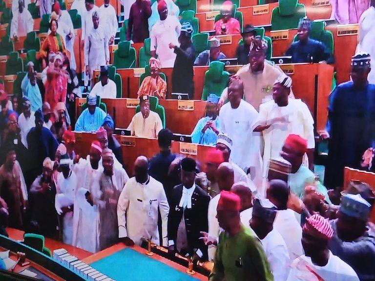 House Rescinds, Re-Enacts Electoral Act Amid Opposition Protests