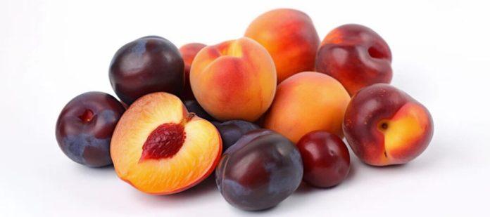 South Africa Ships First Stone Fruit Consignment To China