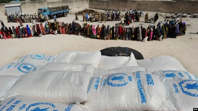 WFP-Somalia-projects