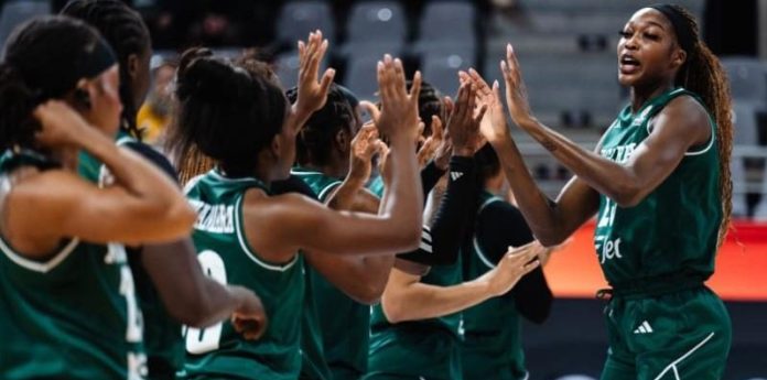 Nigeria’s women’s basketball team, D'Tigress