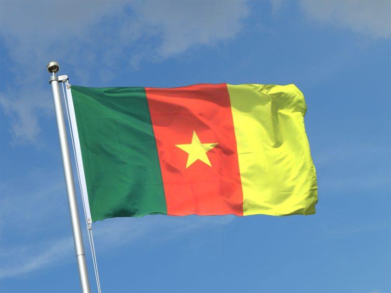 Cameroon Approves Vice President Role Amid Opposition Backlash