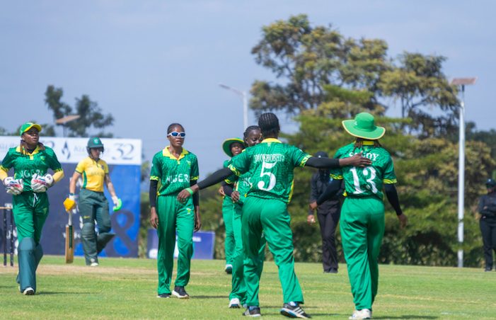 Nigeria's Female Yellow Greens