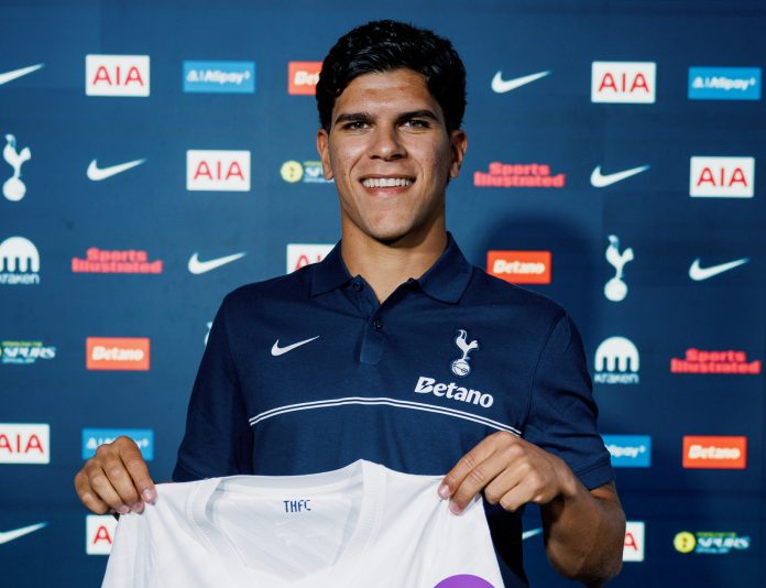 Tottenham Hotspur Mathieus Fernandes