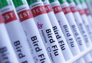 Bed flu vaccination