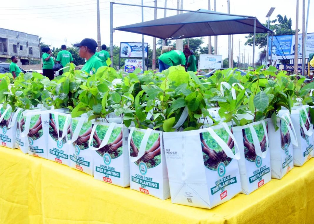 Ogun State Governor Urges Residents to Embrace Tree Planting - Voice of ...